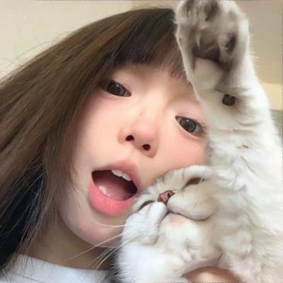 暴龙真相